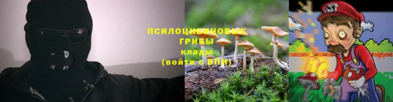 продажа наркотиков  Еманжелинск  Псилоцибиновые грибы Psilocybine cubensis 